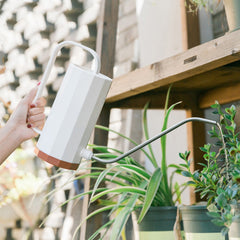 Long Mouth Watering Can